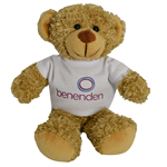 20cm-barney-bear-e614609